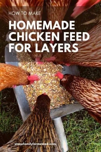 Chicken Yards, Chicken Feed Recipe, Chicken Feed Diy, Chicken Layer Feed, Homemade Chicken Feed, Food For Chickens, Layer Feed, Laying Chickens, Nest Boxes