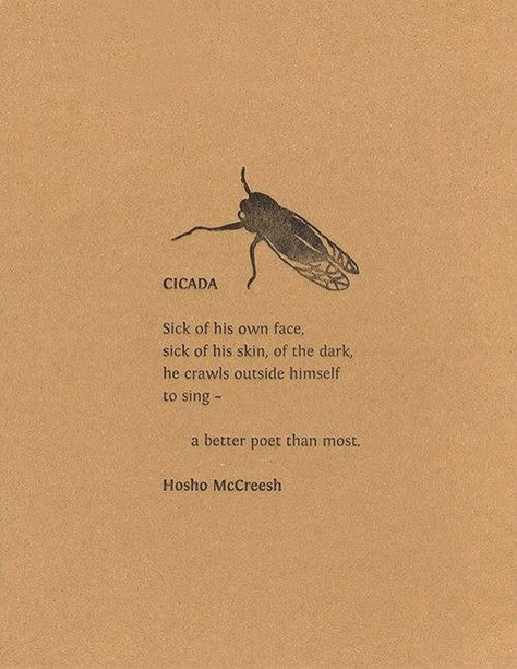 Cicada Tattoo, Poster Grafico, A Bug, Poem Quotes, Poetry Quotes, Pretty Words, Pretty Quotes, The Words, Poets