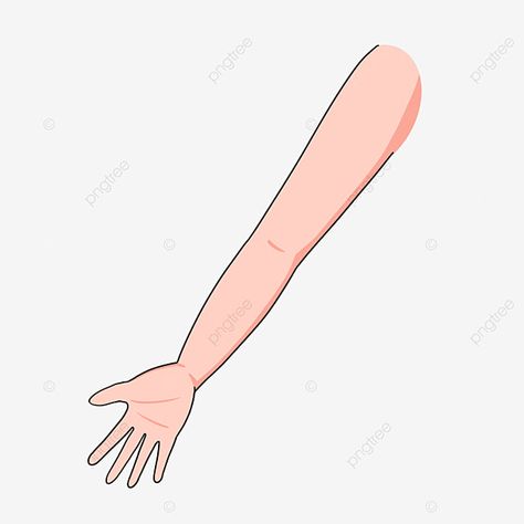 Cartoon Arms, Arm Picture, Hands Cartoon, Arms Drawing, Body Parts For Kids, English Activity, Hand Cartoon, Crafts Storage, Hand Png