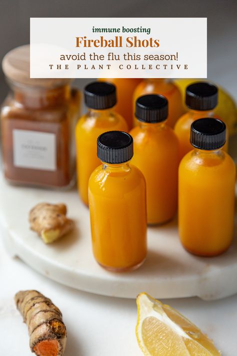 Vibrant wellness shots with fiery ingredients, including ginger, turmeric, cayenne, and lemon, to ignite your immune system. Immunity Shots, Ginger Shot Recipe, Turmeric Shots, Ginger Shot, Wellness Shots, Ginger Slice, Ginger Benefits, Fresh Turmeric, Ginger Turmeric