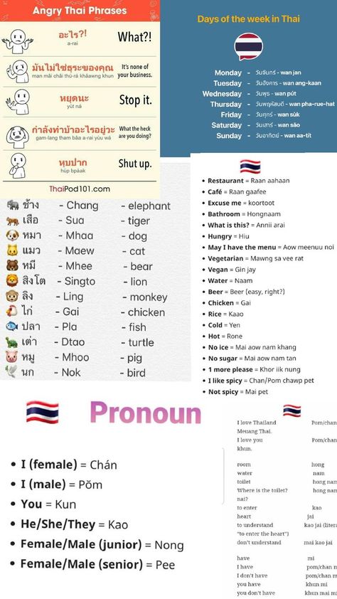 have fun 😁 Thai Phrases, Learn Thai Language, Handwriting Examples, Thai Words, Learn Thai, Thai Language, What The Heck, Stop It, Shut Up