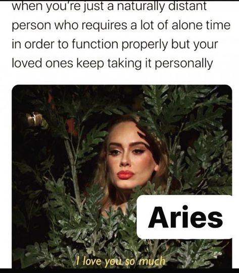 Aries Mood, Aries Characteristics, Aries Vibes, Aries Queen, Aries Funny, April Aries, New Moon Phase, Dont Judge People, Aries Aesthetic