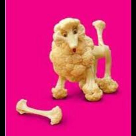 Cauliflower Poodle. Picture from Google Images. Cauliflower Poodle, Funny Food, Weird Food, Kids Food, Fun Kids Food, Johnson And Johnson, Food Humor, Food Decoration, Kids Meals