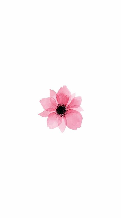 A White Background, White Background, Pink, White