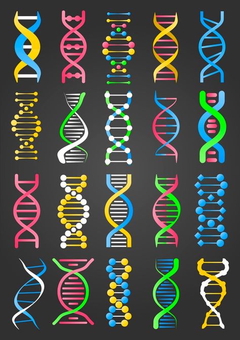 Dna Facts, Dna Tree, Dna Logo, Dna Project, Dna Art, Dna Tattoo, Dna Molecule, Dna Design, Dna Model