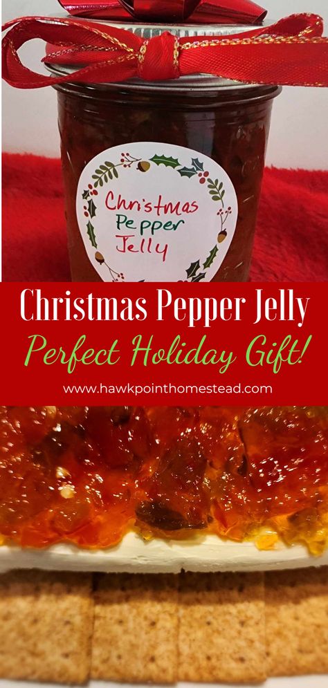 This Christmas Pepper Jelly makes the perfect gift at Christmas. During the holiday season, there are office parties, friend parties, family get-togethers, all usually requiring some kind of small gift.   Everyone will be grateful to receive this wonderful Christmas Pepper Jelly. Also great for teacher and neighbor gifts!  Makes an awesome stocking stuffer! The pepper jelly is so wonderful to serve at any Christmas get-together. Pair it with cream cheese and crackers and no one can resist! Freezer Pepper Jelly, Christmas Pepper Jelly, Cranberry Pepper Jelly Recipe, Best Pepper Jelly Recipe, Red Pepper Jelly Recipe, Christmas Pickles, Pepper Jelly Recipe, Jelly Gift, Pepper Jelly Recipes