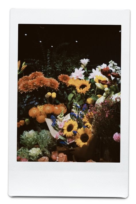 #polaroid #camera #flowers Flowers Polaroid, Collage Elements, Pinterest Contest, Polaroid Camera, Polaroid Pictures, Polaroid Photos, Flowering Trees, Instagram Story Ideas, Sunflower