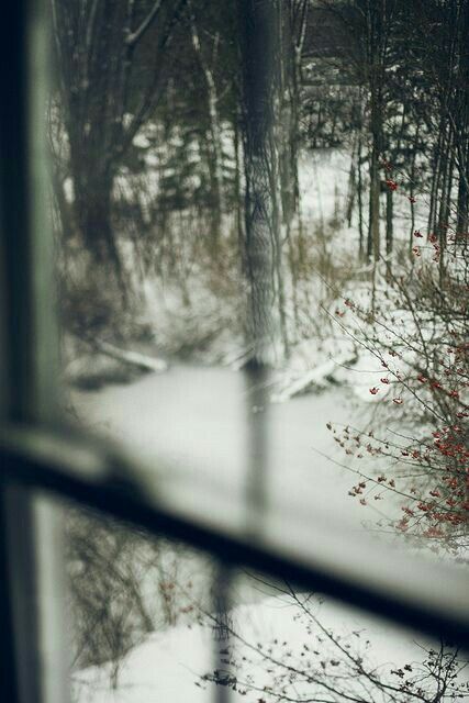 Window Views, Outside My Window, Through A Window, Winter's Tale, Looking Out The Window, Winter Mood, Seasons Winter, Room With A View, Winter Love