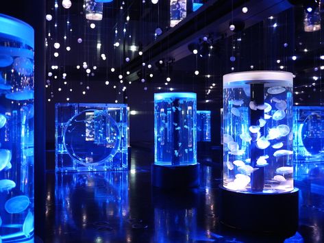 Opened inside Shinagawa's Prince Hotel in July 2015, this 'aqua park' is essentially a renovated version of the old Epson Aqua Stadium, also known as that other Aquarium Architecture, Aqua Park, Aquarium Design, Parc D'attraction, Pretty Places, Art Plastique, Time Out, Blue Aesthetic, Exhibition Design