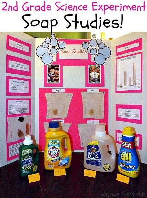 Soap Science Experiment, Kids Science Fair Projects, 2nd Grade Science, Science Fair Board, Science Fair Experiments, Cool Science Fair Projects, Science Fair Project, 5th Grade Science, Science Projects For Kids