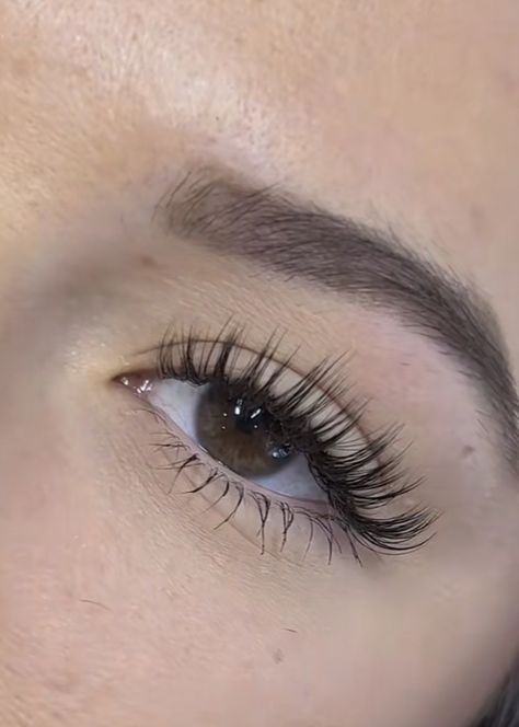 Natural Fake Eyelashes, Lash Extentions, Maquillage On Fleek, Lashes Fake Eyelashes, Lash Extensions Makeup, Lash Extensions Styles, Eyelash Extensions Styles, Kanekalon Hairstyles, Perfect Eyelashes