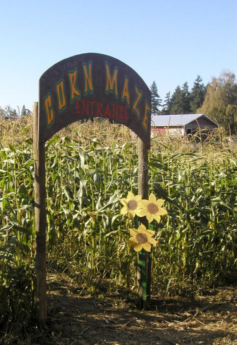 Maze Entrance, Farm Day, Farm Fun, Farm Field, Hades And Persephone, Corn Maze, Small Farm, Pumpkin Decorating, Autumn Theme