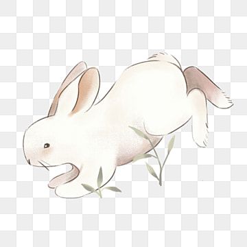 cartoon,hand drawn,watercolor,white,animal,rabbit,white rabbit,cartoon bunny,running,grass,foraging,cute,creative design,animal clipart,hand clipart,grass clipart,rabbit clipart,running clipart,cute clipart,cartoon clipart,drawing clipart,watercolor clipart White Rabbit Cartoon, Bunny Running, Running Clipart, Cartoon Hand Drawing, Running Drawing, Grass Clipart, Running Cartoon, Easter Cartoons, Rabbit Clipart