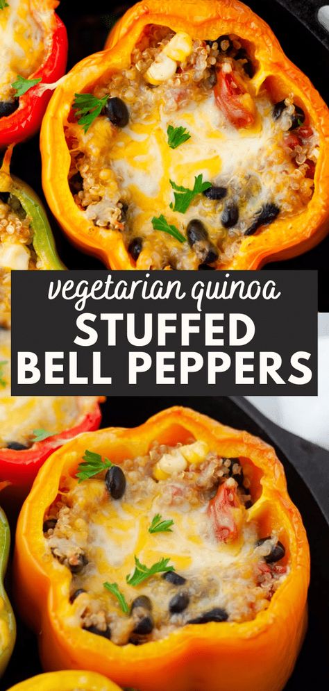 Stuffed Bell Peppers Quinoa, Stuffed Bell Peppers Vegetarian, Meal Prep Vegetarian, Quinoa Stuffed Bell Peppers, Stomach Health, Vegetarian Stuffed Peppers, Quinoa Stuffed Peppers, Vegetarian Quinoa, Vegetarian Meal Prep