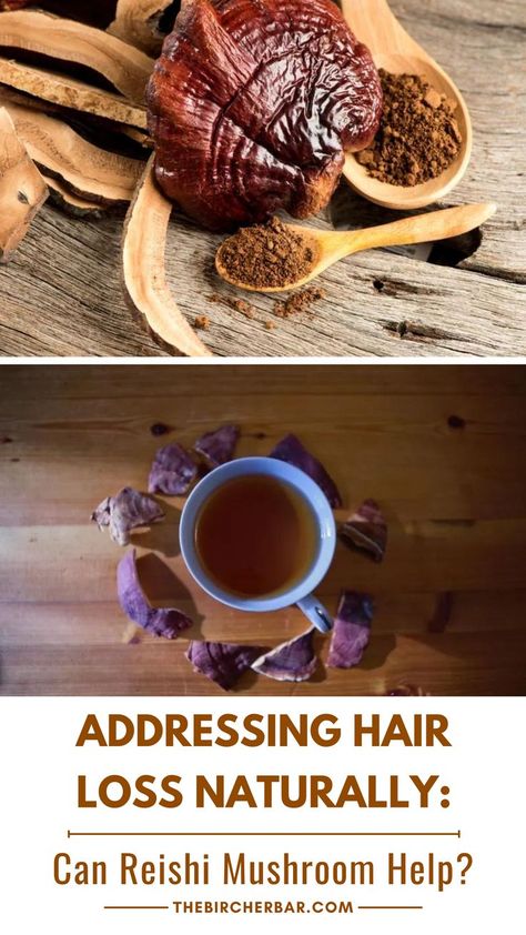 Discover the potential of Reishi mushroom in combating hair loss! Explore the fascinating world of natural remedies and learn about the possible benefits of Reishi mushroom for hair health. Unlock the secrets of this powerful mushroom and take a step towards revitalizing your hair. Embrace a holistic approach to addressing hair loss concerns! #ReishiMushroom #HairLossRemedy #NaturalHairCare #HolisticWellness Alopecia Causes, Reishi Mushroom Benefits, Mushroom Benefits, Mushroom Hair, Maintaining Healthy Hair, Reishi Mushroom, Natural Haircare, Healthy Scalp, Brittle Hair