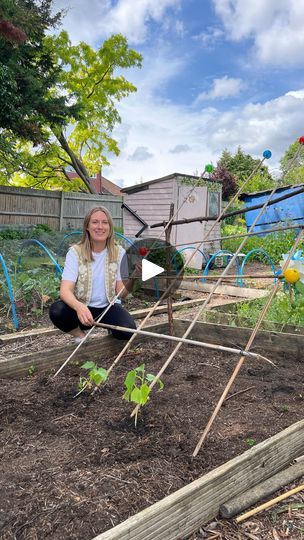 Pea Structure, Allotment Ideas Inspiration, Easy Trellis, Raised Garden Ideas, Allotment Ideas, Snap Pea, New Snap, Allotment Gardening, Cane Stick