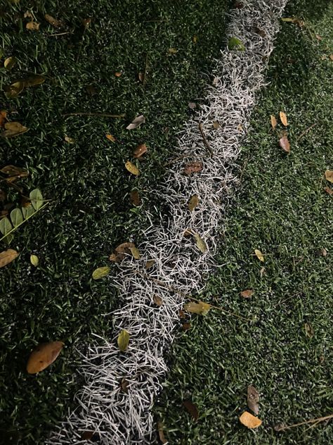 #aesthetic #gardening #turf #football #grunge Football Turf Aesthetic, Football Ground Aesthetic, Ground Aesthetic, Football Turf, Indian Football, Football Ground, Aesthetic Gardening, Turf Football, Aesthetic Football