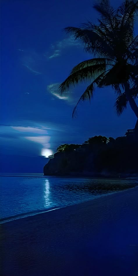 Ocean At Night, Night Time, Palm Tree, The Ocean, At Night, The Beach, Trees, Blue