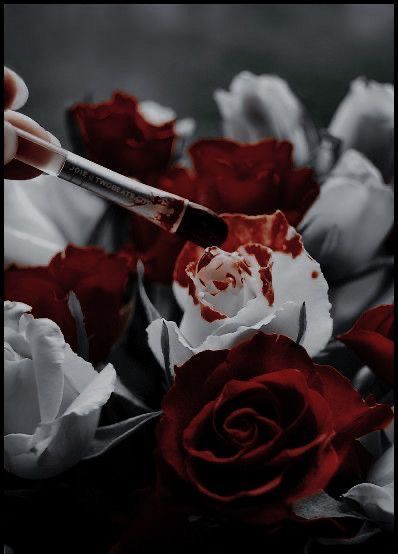 Dark Alice In Wonderland, Alice In Wonderland Aesthetic, Alice Madness, Blood Art, Fantasy Aesthetic, Dark Photography, Red Aesthetic, Dark Aesthetic, Pretty Flowers