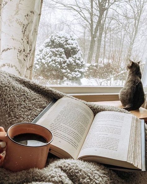 Winter Reading Aesthetic, Reading Aesthetic Wallpaper, Hygge Aesthetic, Cottagecore Winter, Winter Cottagecore, Winter Reading, Winter Reads, Winter Books, Reading Aesthetic