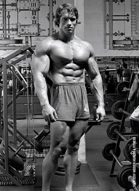 Bodybuilding Pictures: Arnold Schwarzenegger at Work Gain Weight For Women, Arnold Schwarzenegger Muscle, Arnold Schwarzenegger Bodybuilding, Schwarzenegger Bodybuilding, Bodybuilding Pictures, Trening Fitness, Gym Inspiration, Body Builder, Bodybuilding Motivation