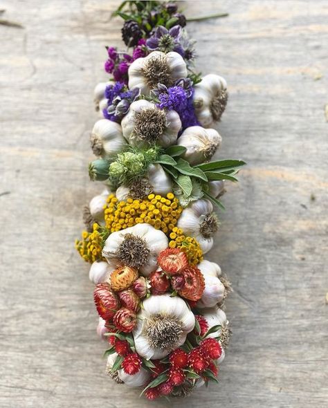 Garlic Braid Decor, Garlic Braid With Flowers, Dried Okra Wreath, Dried Artichoke Flower, Dried Flower Chicken Wire, Garlic Flower, Artichoke Flower, Wild Food Foraging, Market Garden