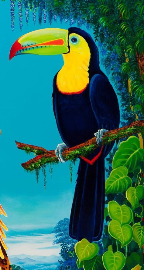 Toucan Bird Drawing, Tucan Painting, Intermediate Acrylic Painting, Toucan Painting, Toucan Illustration, Toucan Art, Parrot Art, Bird Painting Acrylic, Canvas Painting Ideas For Beginners