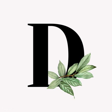 Botanical capital letter D vector | premium image by rawpixel.com / Aum / Donlaya / Kappy Kappy / manotang Letter D Typography, Sable Cake, D Letter Design, Botanical Capital Letter, D Letter Images, Capital Alphabet, D Letter, The Letter D, Stylish Alphabets