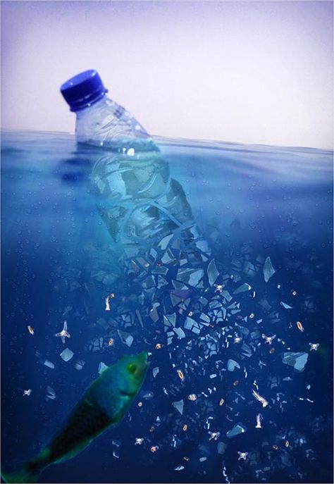 Plastic Waste Recycling, Ocean Projects, Marine Pollution, Old Paper Background, Ocean Pollution, Architecture Concept Diagram, Water Projects, Marine Ecosystem, Sustainable Art