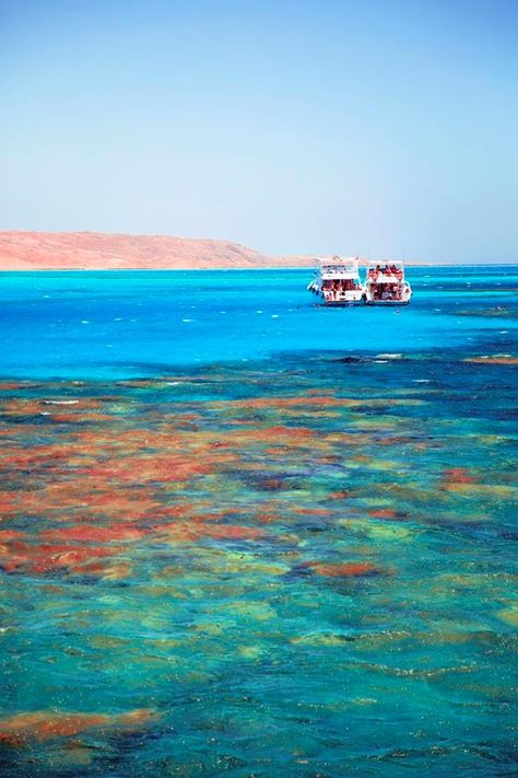 Red Sea - Egypt #places Egypt Red Sea, Hurghada Egypt, شرم الشيخ, Egypt Tours, Sharm El Sheikh, Beautiful Travel Destinations, Pyramids Of Giza, Egypt Travel, Cairo Egypt