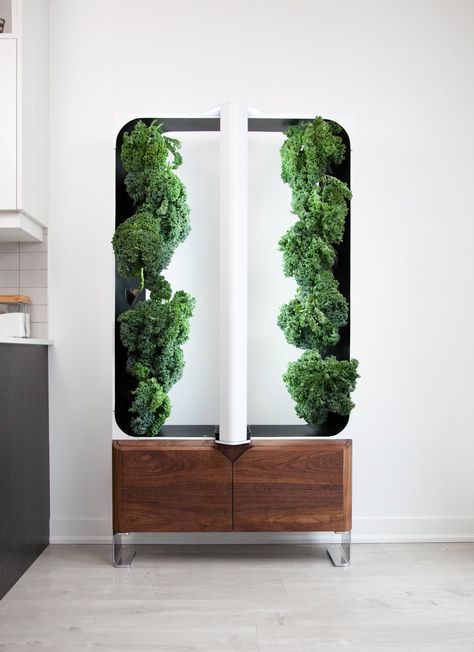 Furniture that feeds your home! Modern gardening for classic living. Our AEVA hydroponic growing system allows you to grow up to 16 vegetables, fruits and herbs all with 95% less water, no pesticides, no GMO and no environmental runoff.   Visit our website and follow us for more information! Hydroponics System Design, Hydroponics Aesthetic, Hydroponics Design, Sustainable Product Design, Indoor Farming, Arch Ideas, Hydroponic Growing, Vertical Farming, Living Interior