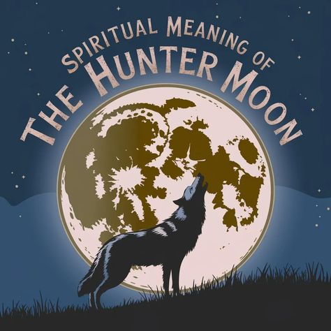 Radiant : Catalyze inner evolution and spiritual growth by unlocking the transformative energy of the Hunter Moon, but what secrets will you uncover next? Hunter Moon, New Moon In Scorpio, Moon In Scorpio, Lunar Energy, Rise From The Ashes, Emotional Baggage, Scorpio Moon, Dark Corners, Spiritual Meaning