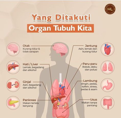 Materi Ipa, Tips Kesehatan, Green Skincare, Hand Reflexology, Skin Care Business, Design Infographic, Story Ig, Healthy Lifestyle Food, Health Knowledge