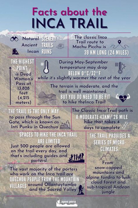 Let’s take a quick look these awesome Inca Trail Facts and learn why it is an unforgettable experience! #incatrail #hiketheincatrail Inca Trail Peru, Backpacking Peru, Peru Trip, Peru Vacation, Hiking Peru, Inca Trail Hike, Travel Peru, Peru Travel Guide, Backpacking Trails