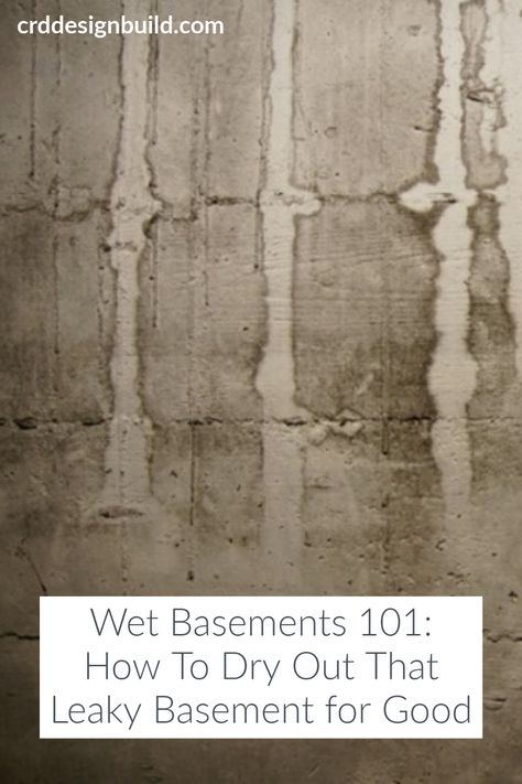 Seal Basement Walls, Seal Basement Floor, Dry Lock Basement Walls, How To Fix Crumbling Basement Walls, Drylok Basement Floor, Wet Basement Solutions, Basement Subfloor, Fix Leaking Basement Wall, Concrete Basement Walls