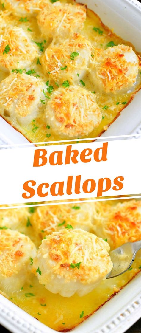 These buttery scallops are dipped in a mixture of butter and garlic first and then baked in Panko and Parmesan coating. It takes less than 30 minutes and a perfect dish for a special night or any time you want to treat yourself. #scallops #seafood #easydinner #dinner #bakedscallops #30minutemeals Scallop Recipes Baked, Easy Scallop Recipes, Seafood Scallops, Fresh Scallops, Baked Scallops, Seafood Entrees, Yummy Seafood, Scallop Recipes, Fish Dinner