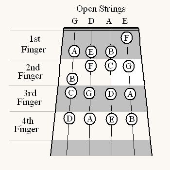 First Position Fingerings of the Natural Notes on the Violin Violin Scales, Violin Notes, Fiddle Tunes, Piano Lessons For Beginners, Guitar Notes, Online Music Lessons, Learn Violin, Violin Lessons, Best Piano