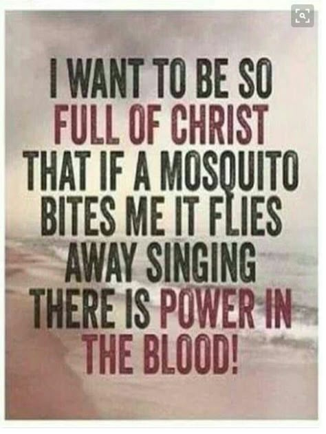 ~I want to be so full of Christ if a mosquito bites me he will fly away singing there is power in the BLOOD!! Funny Christian Jokes, Christian Jokes, Christian Humor, Word Up, I Want To Be, Work Humor, Prayer Quotes, Life Humor, Religious Quotes