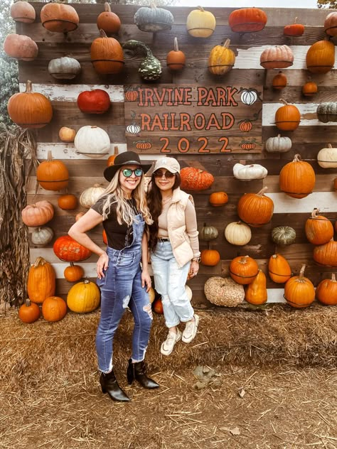 Fall Photo Op Backdrop, Harvest Festival Aesthetic, Fall Photo Wall, Fall Photo Op, Pumpkin Patch With Friends, Pumpkin Patch Business, Wedding Picture Backdrop, Hay Bale Fall Decor, Farm Experience