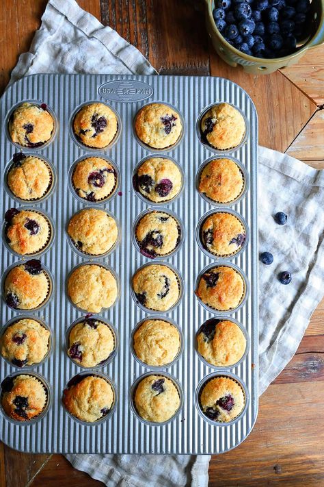 Sourdough Discard Mini Blueberry Muffins. - Healthy Elizabeth Healthy Elizabeth, Mini Blueberry Muffins, Sourdough Muffins, Greek Yogurt Muffins, Gluten Free Recipes For Kids, Traditional Cooking, Gluten Free Kids, Sourdough Discard, Blueberry Muffins