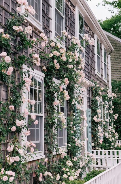 Rose Covered Cottage in Nantucket | Content in a Cottage London Cottage Aesthetic, Pastel House Exterior, Gal Meets Glam, Climbing Roses, Beautiful House, Rose Cottage, Cool Ideas, Garden Cottage, Beach Cottages