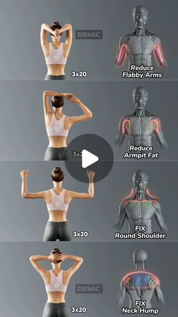 DEMIC STORY on Instagram: "14-Day Plan to Toned Arms!💪
Daily workouts 😉💪👍
.
.
.
#weightloss #bodyfitness #fitness #fitnessmotivation #demic #weightlossmotivation #bodytransformation #exercise #homeworkout #dailyworkout #dailyoutfit #womenhealth #women #instagram #instagramreels #exercisemotivation #fitness #transformation #trending #fatburner #fatburningworkout #workout" Body Workout Schedule, Arm Workout Women, Arm Exercises, Daily Workouts, Quick Workout Routine, Best Paint Colors, Toned Arms, Workout Schedule, Total Body Workout