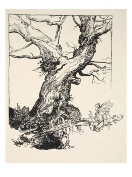 Oak Illustration, Arthur Rackham, Midsummer Nights Dream, A4 Poster, Tree Drawing, William Shakespeare, Children's Book Illustration, Ink Art, Ink Drawing