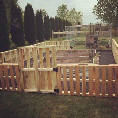 Pallet Fence For Garden, Pallet Garden Fence Ideas, Pallet Garden Gate, Easy Pallet Fence Diy, Allotment Fence, Pallet Fence Garden, Pallet Garden Fence, Pallet Fence Ideas, Wood Pallet Fence