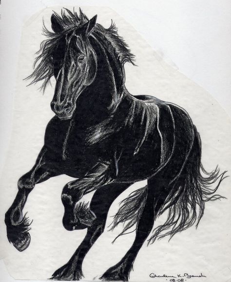 Horse tattoo Stallion Tattoo, Horse Stencil, Horse Tattoo Design, Western Tattoos, Black Stallion, Black Horses, Horse Tattoo, Horse Drawings, Black Ink Tattoos