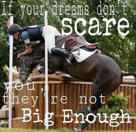 Equestrian Motivation, Quotes Rainbow, Equine Quotes, Horse Sayings, Horse Quotes Funny, Funny Horse Pictures, Horse Jokes, Horsey Life, Inspirational Horse Quotes