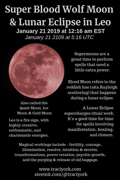 Tonight brings a Super Blood Wolf Moon in Leo with an Eclipse I've created an infographic for the occasion. Witchy Graphics, Moon Witchcraft, Cold Moon, Moon Magick, Moon In Leo, Moon Eclipse, Witchcraft For Beginners, How To Create Infographics, Witch Magic