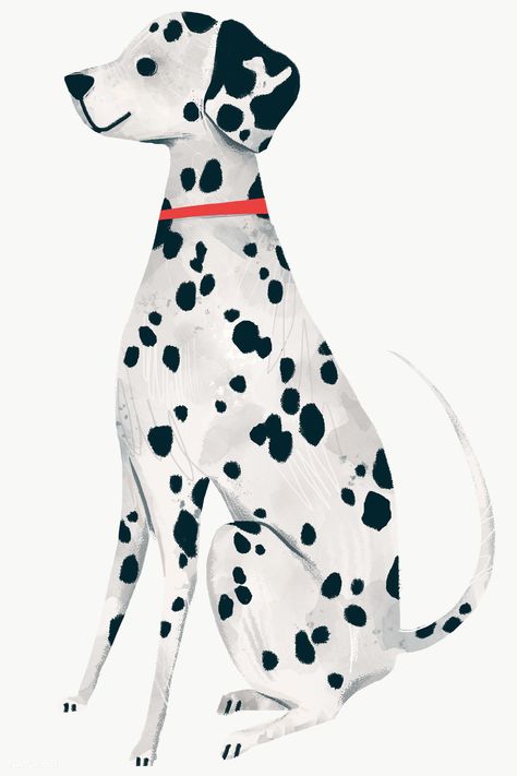 Dalmation Illustration, Dalmation Drawing, Golden Retriever Drawing, Watercolor Puppy, Drawing Transparent, Different Breeds Of Cats, Dog Watercolor Painting, Drawing Lettering, Puppy Portraits