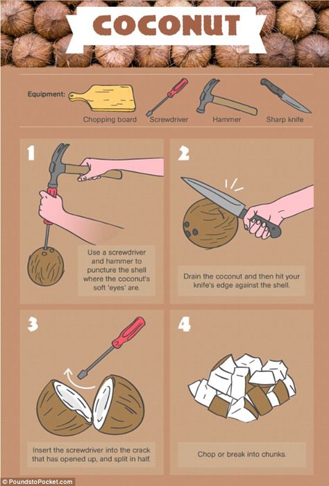 How to cut a Coconut How To Eat A Coconut, How To Open A Coconut Easy, How To Open A Coconut, How To Open Coconut, How To Cut Coconut, Opening A Coconut, Coconut Opening, Nims Island, Infographic Process