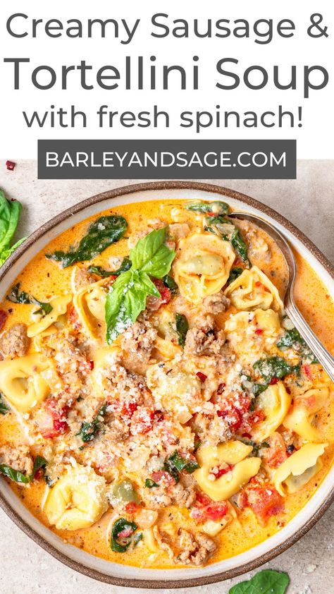 Tortellini Soup Stovetop, Tortellini Sausage Spinach Soup, Spinach And Cheese Tortellini, Tortellini Soup With Italian Sausage, Sausage And Tortellini Soup, Italian Sausage Spinach, Soup With Italian Sausage, Leptin Diet, Sausage And Tortellini